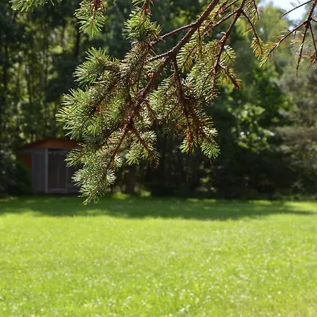 Czekaj Przy Suntago
